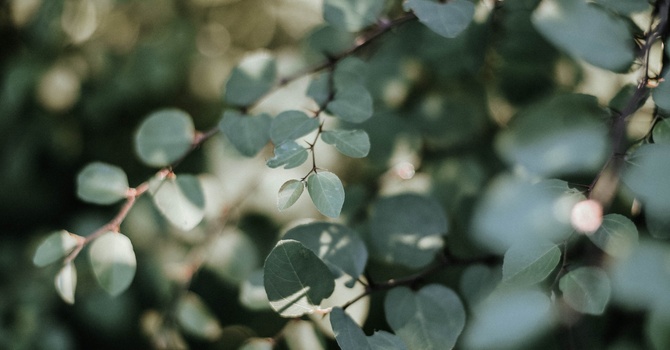 Photobiomodulation (Cold Laser Therapy)